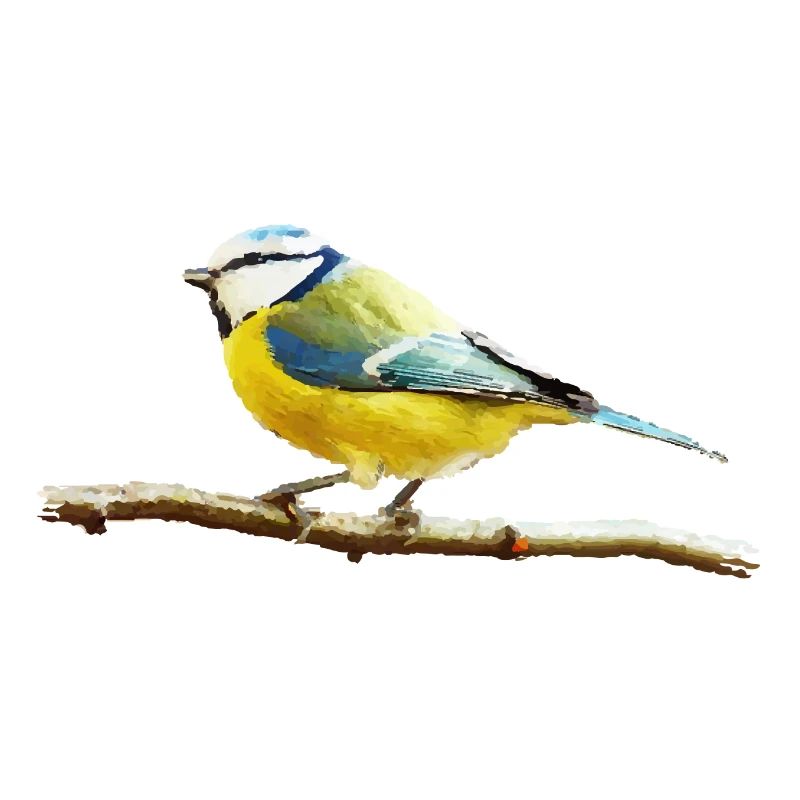 Titmouse