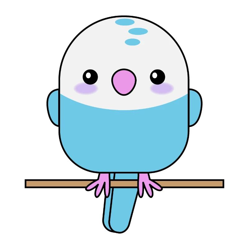 Cute budgie, parrot, bird