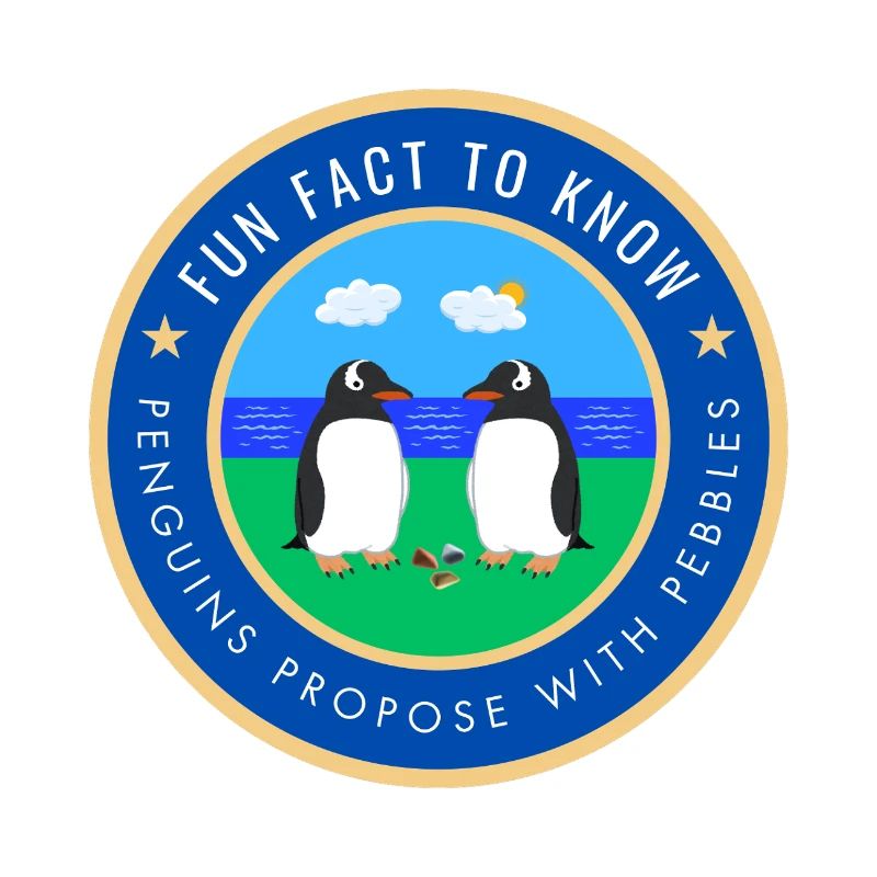 Penguins propose with pebbles