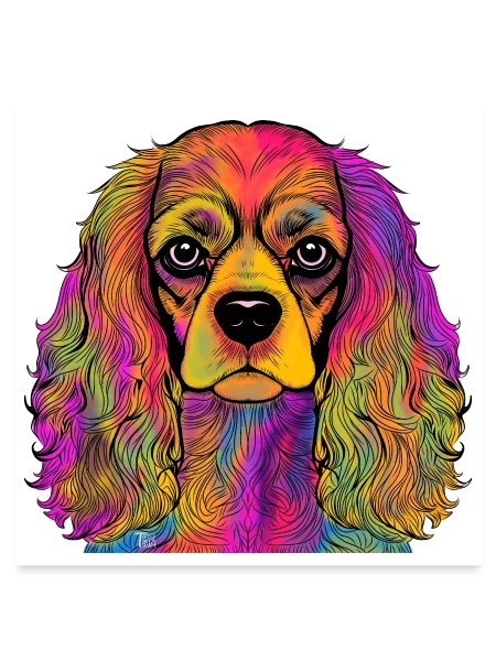 Cavalier King Charles Spaniel