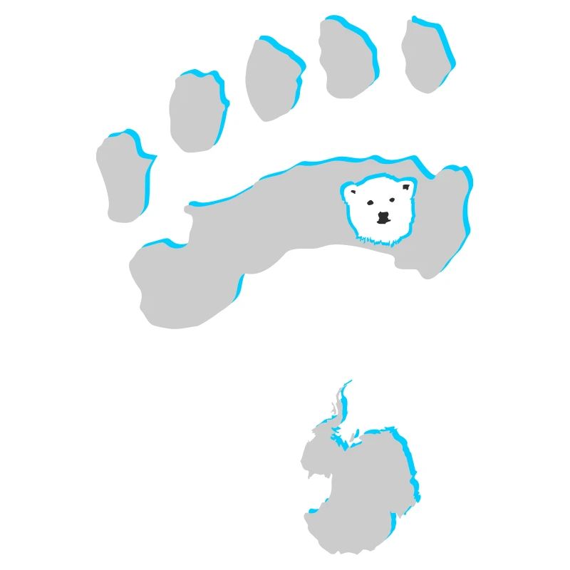 Eisbär 8