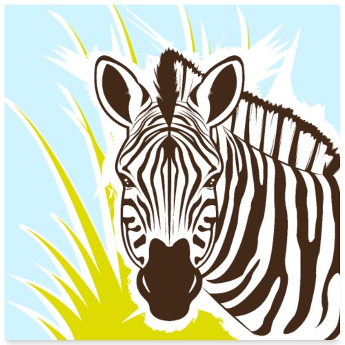 Zebra - Poster 60x60 cm