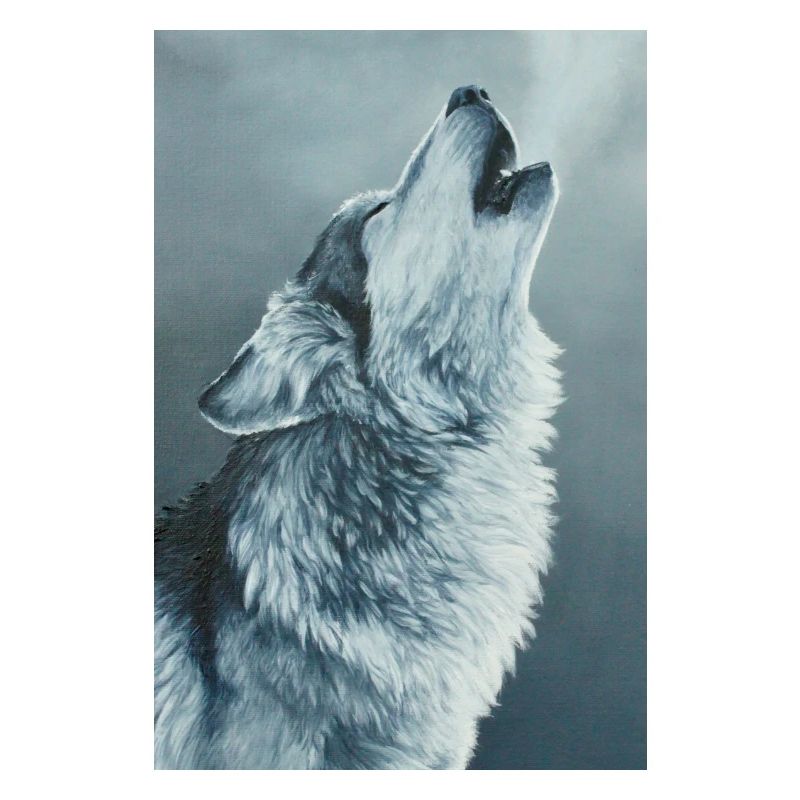 Loup gris