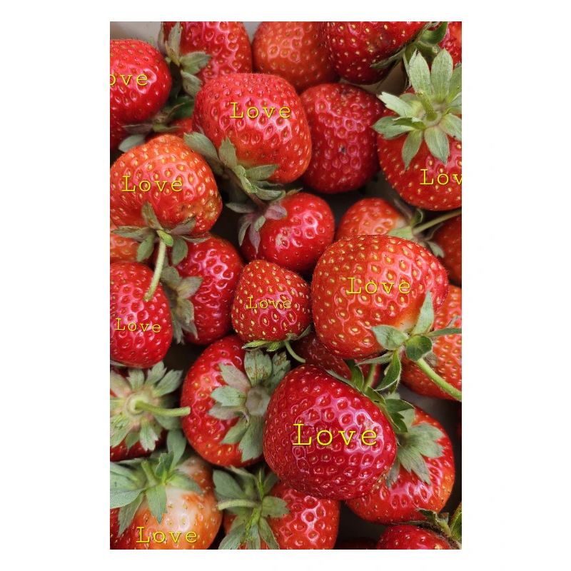 Fraises