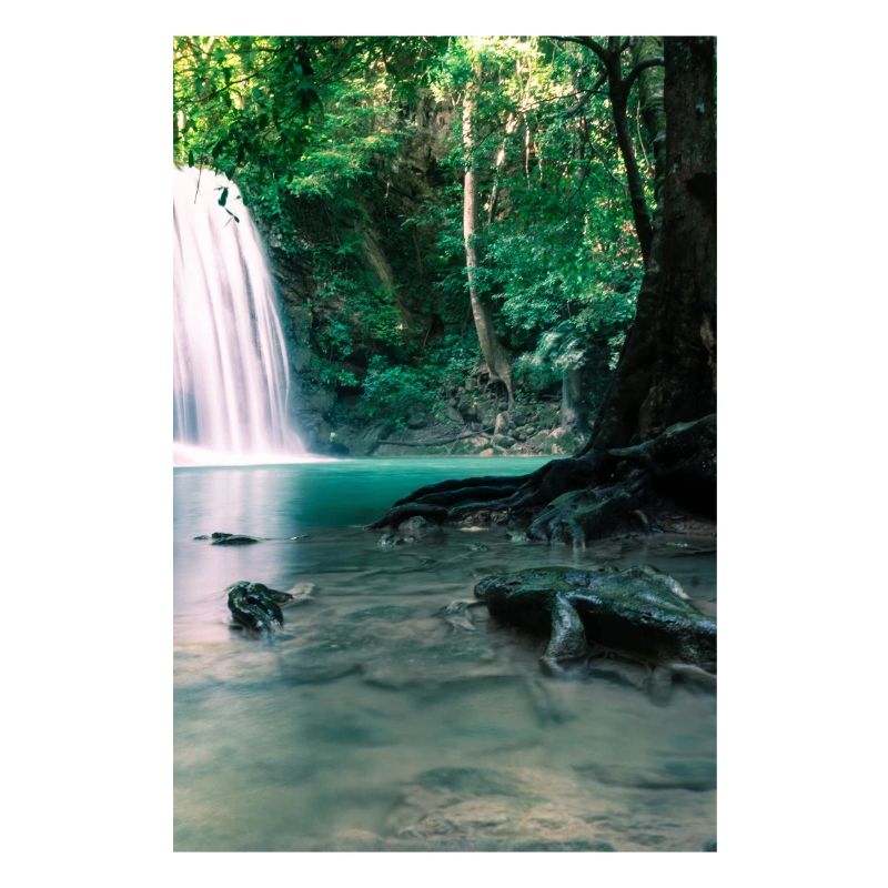 Cascade verte dans la forêt