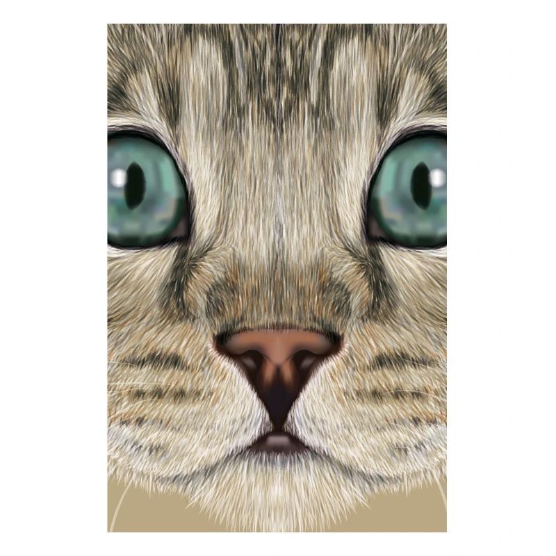 Chat léopard
