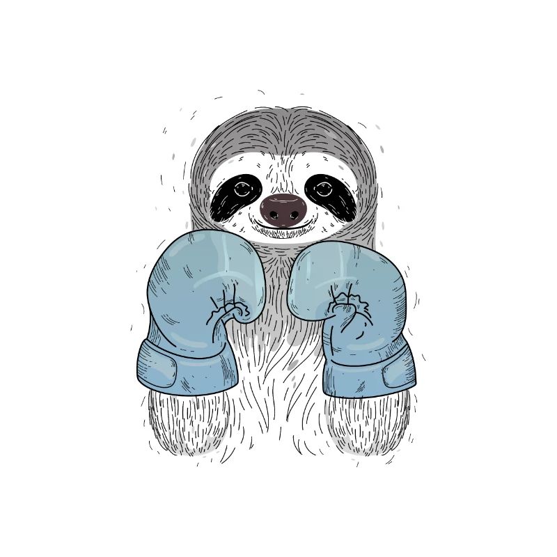 Sloth Boxing - Gants de boxe
