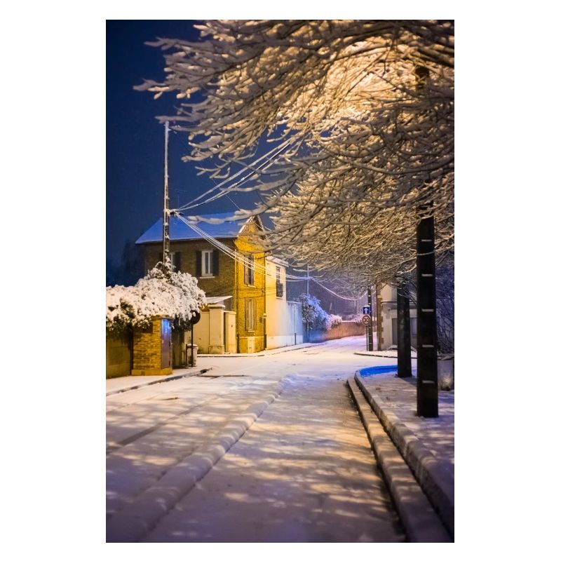 Neige nocturne