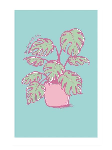 Monstera