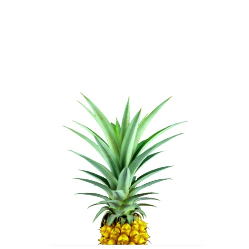 Ananas - Golden Pineapple - Poster 20 x 30 cm