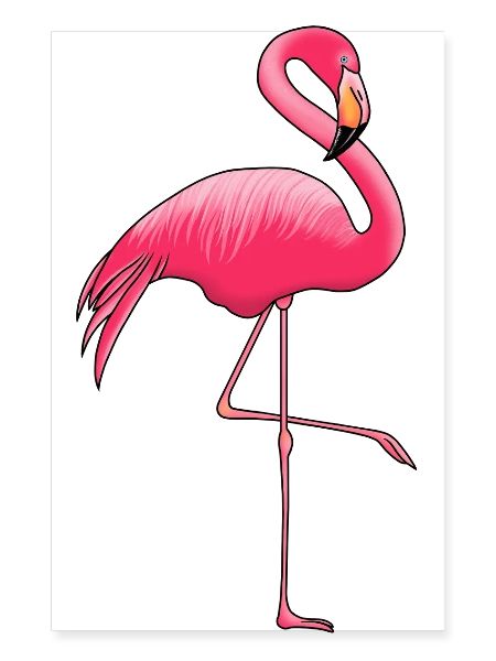 Flamingo Poster