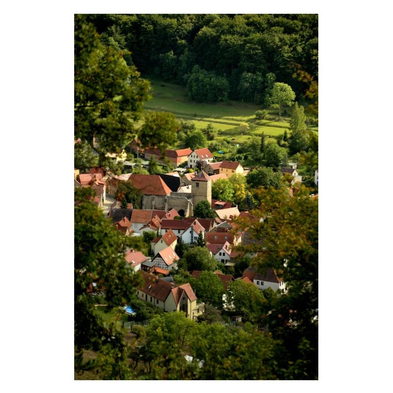 Bosquet de chèvre