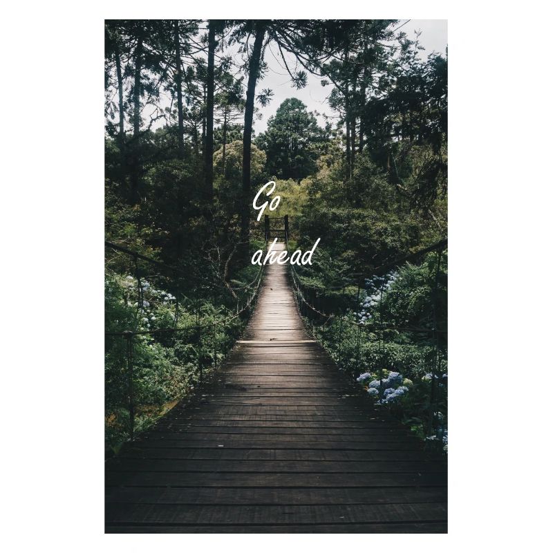 Pont dans la forêt
