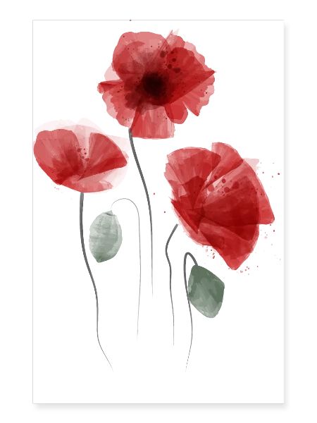 Mohn