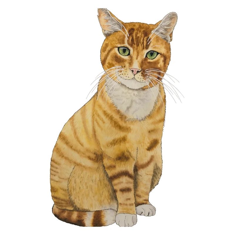 rote Katze sitzend