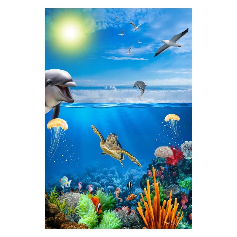 Reef Underwater