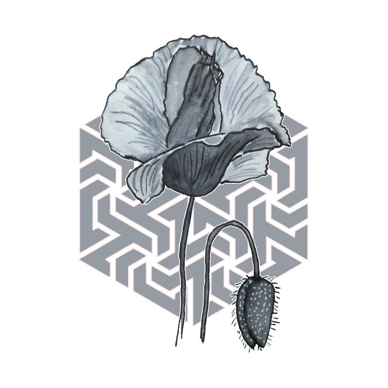 coquelicot noir et blanc avec hexagone en arrière-plan