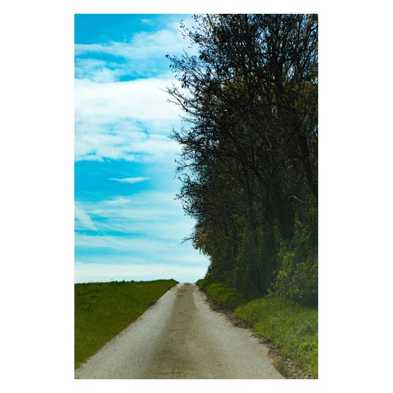 Waldweg