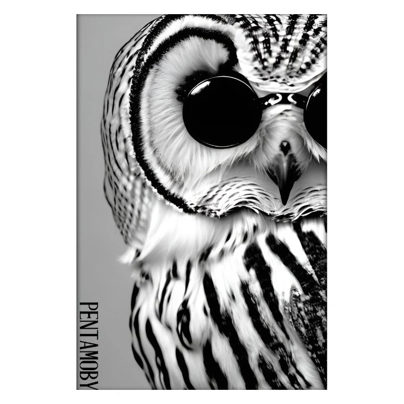 Eule Sonnenbrille Wildtier Vogel Waldtier Wald