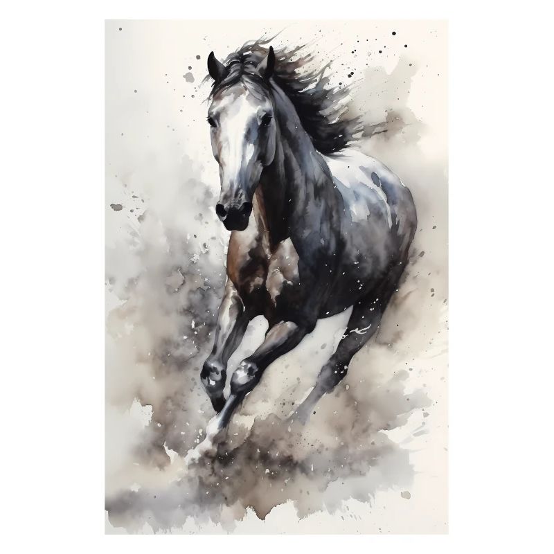 Equitation Equitation Equitation Saut d’obstacles