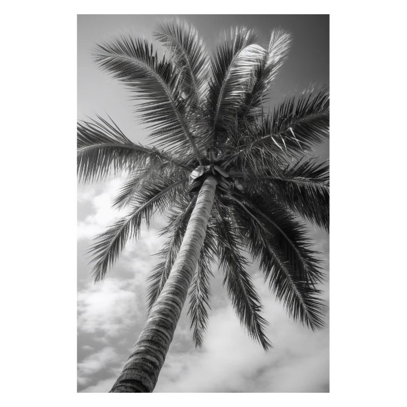Palm tree on the sandy beach V1