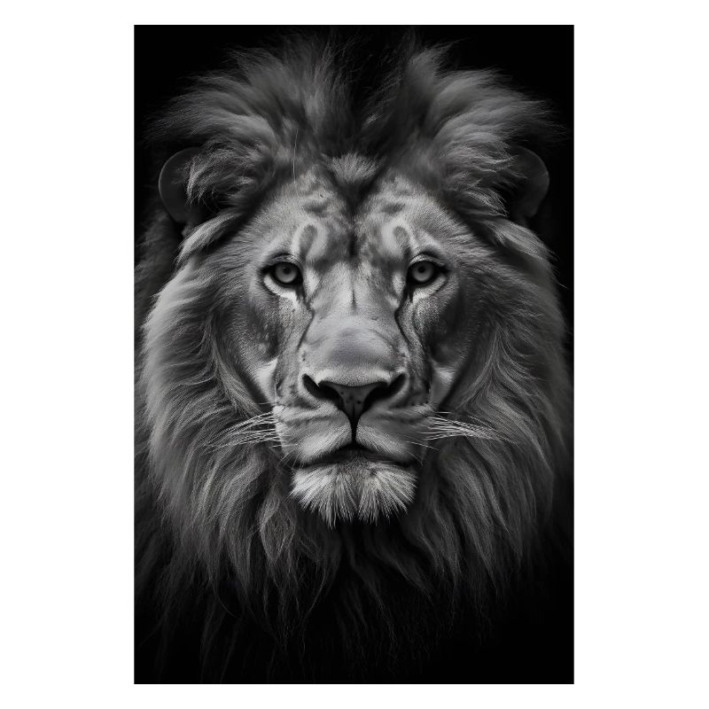 Lion Wilderness