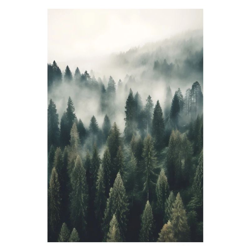 Brouillard forestier