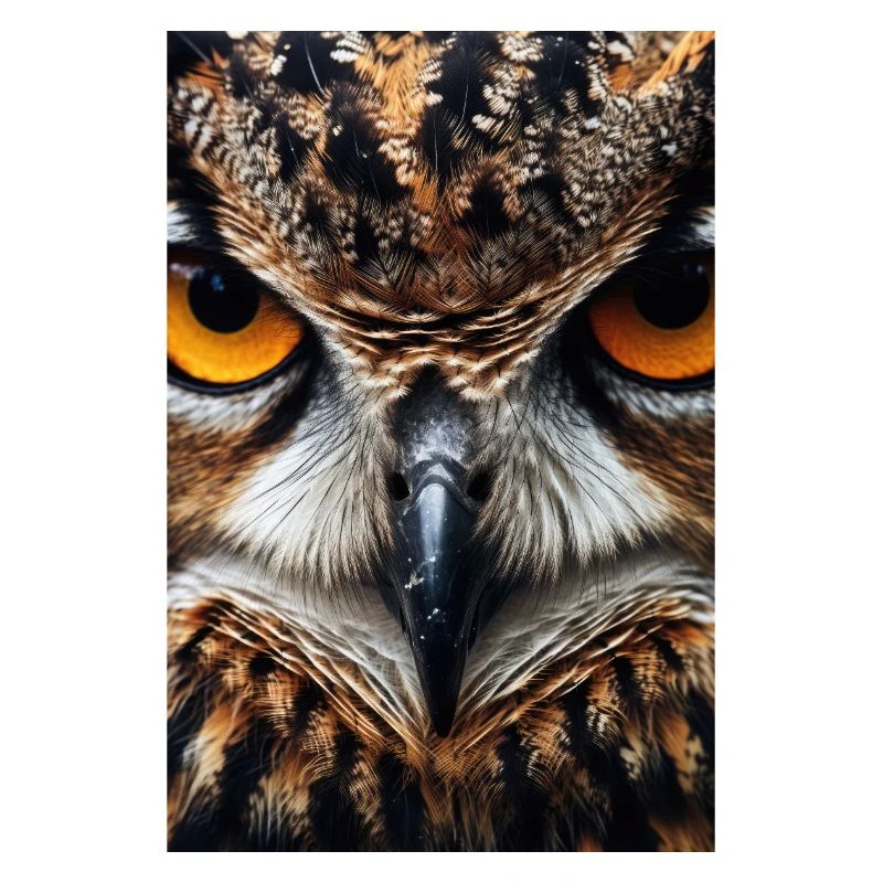 Eule Vogel Tier Eulen Animals