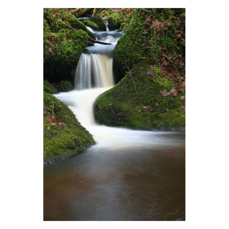 Motif de la cascade de Mooswald