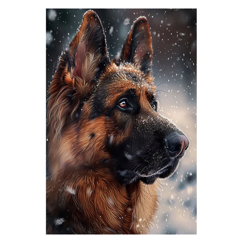 German Shepherd