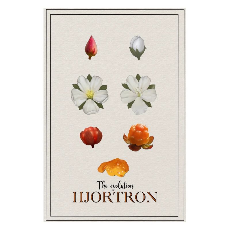 L’évolution de la chicouté Poster