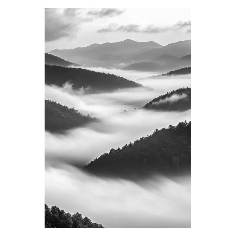 Murmures dans la brume