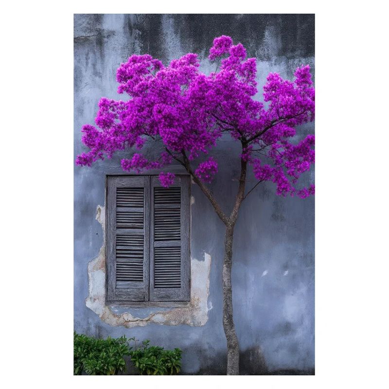 Vibrant Blossom Against Rustic Wall