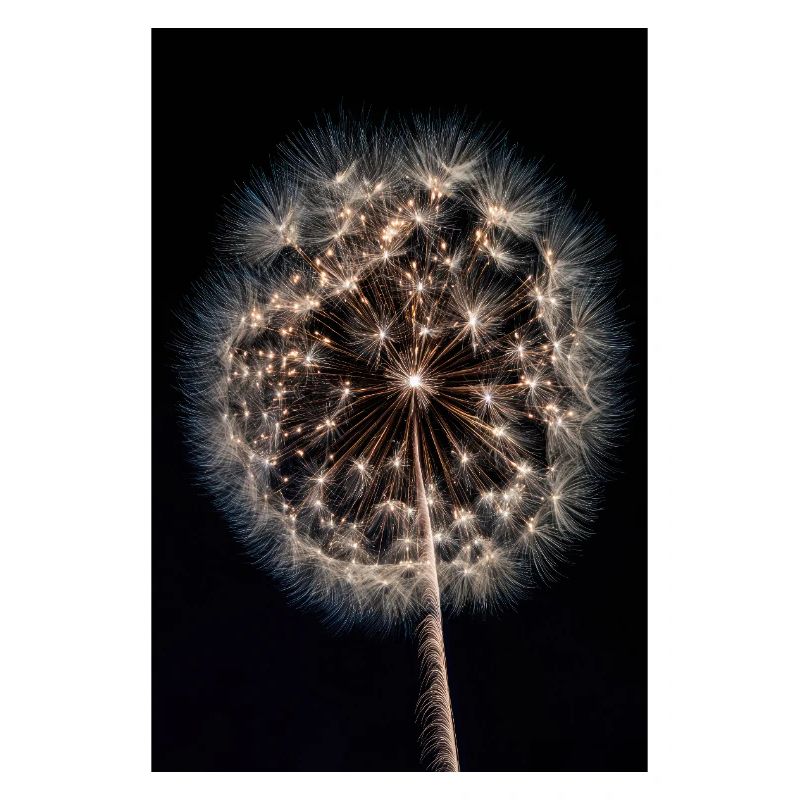 Luminous Dandelion Firework