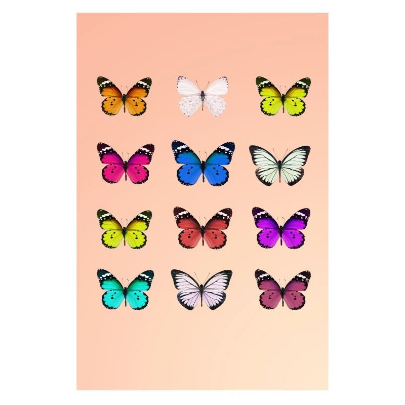 Affiche papillon