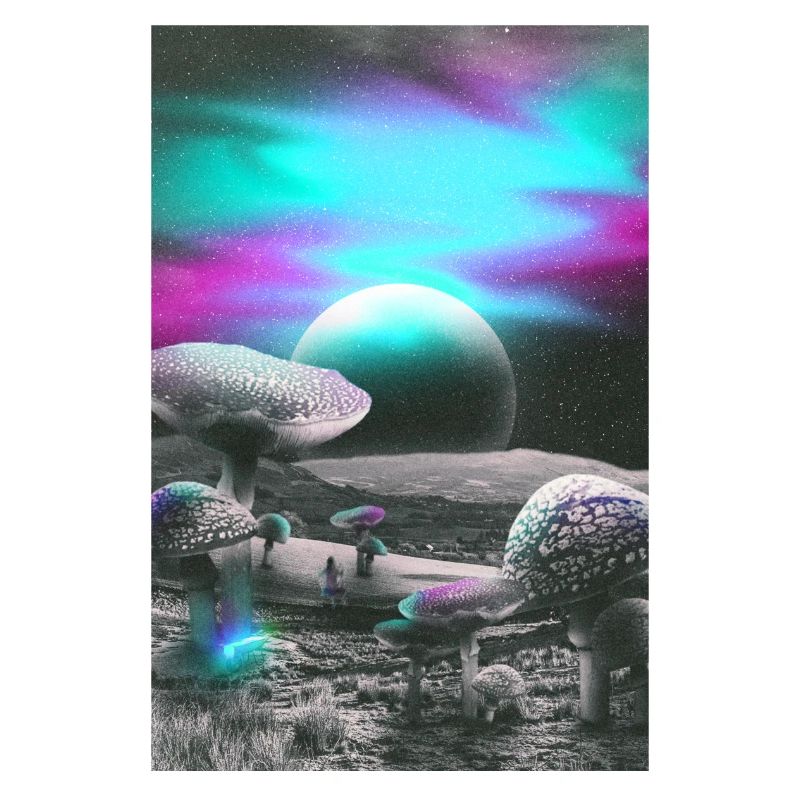 Champignons psychédéliques