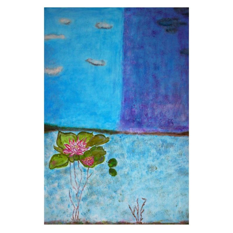 classification raunkier hydrophyte mélika