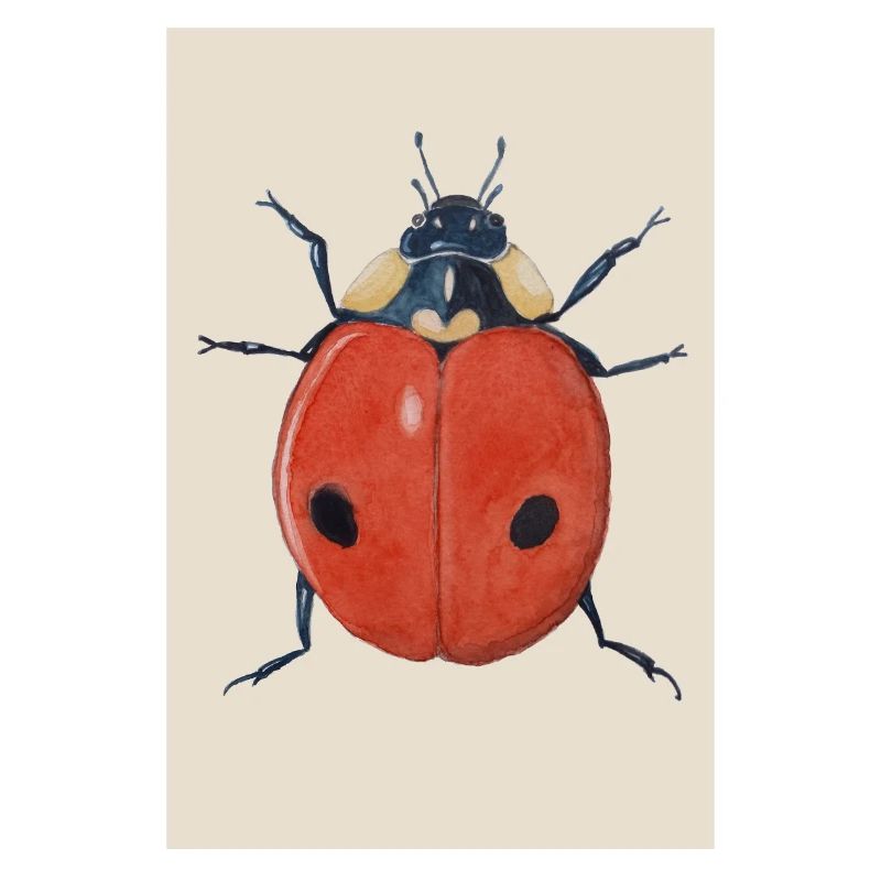 Affiche Ladybug 2