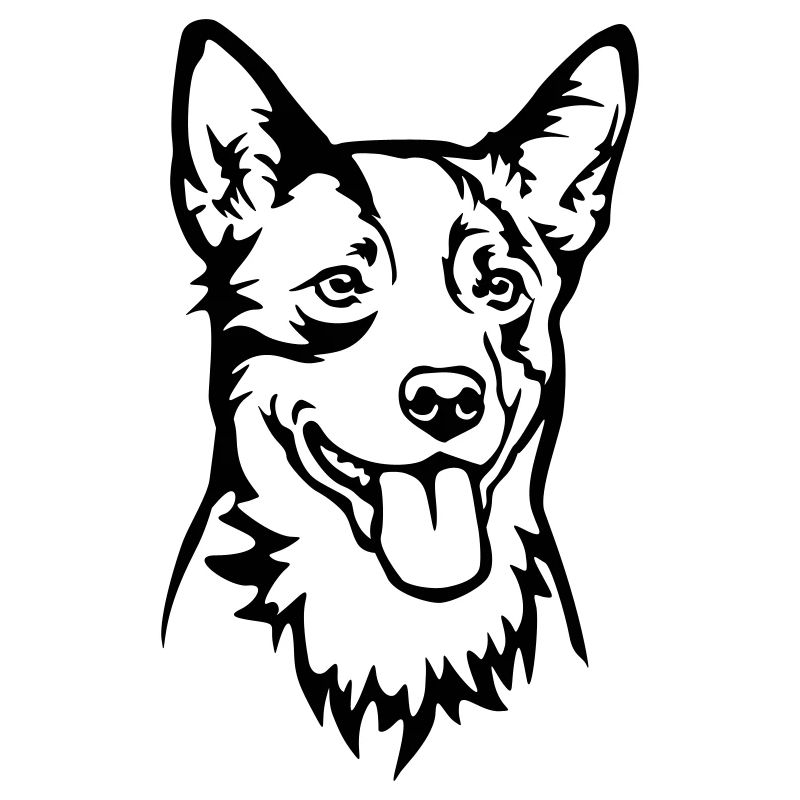 Australian Cattle Dog Kopf