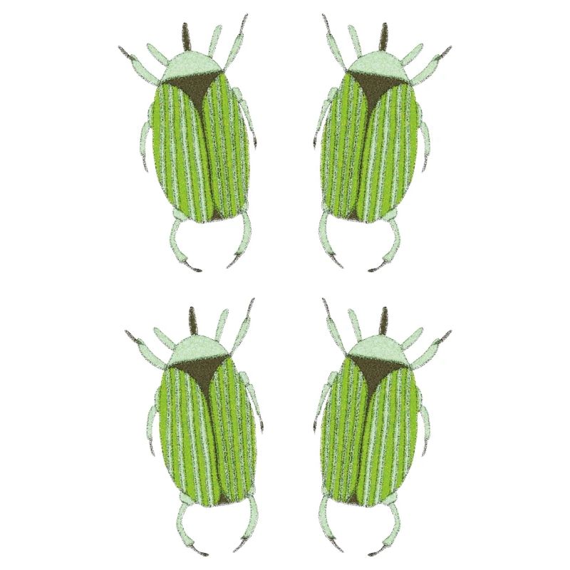 insecte vert