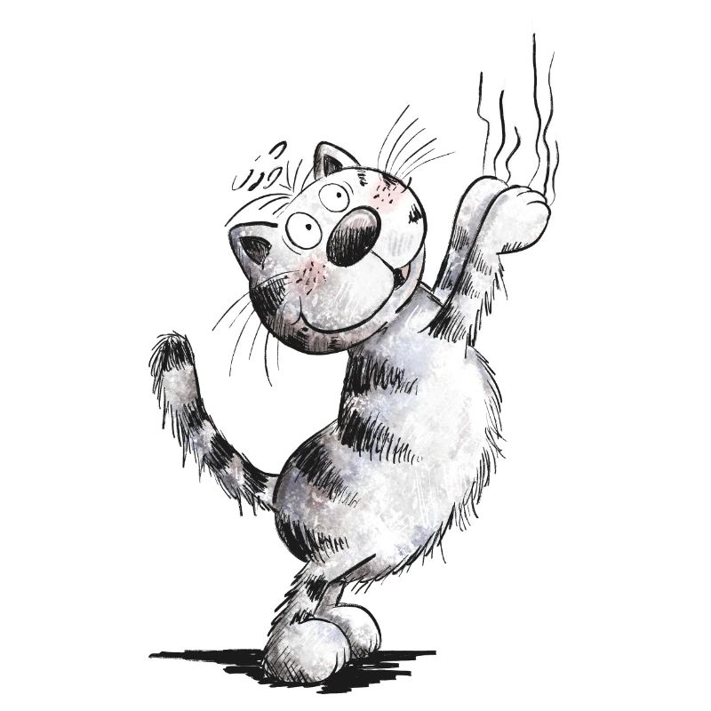 Drôles de griffures de chat