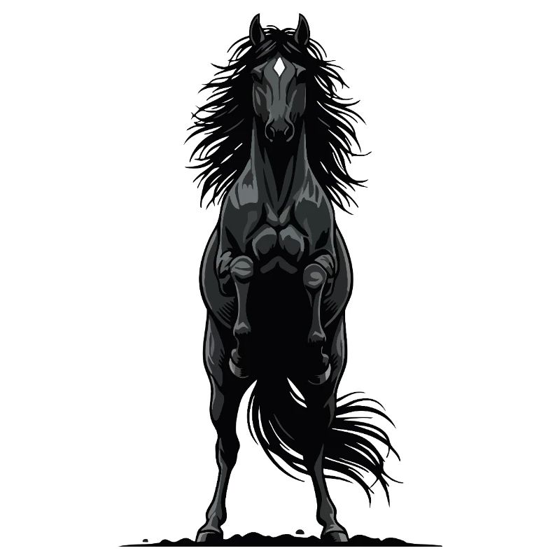 Cheval Noir de Face Cabré Puissance Équestre