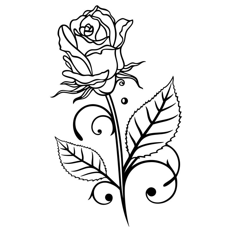 Rose mit Blättern