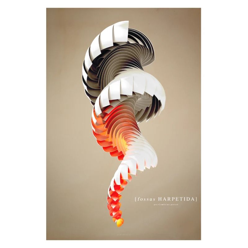 Shell two