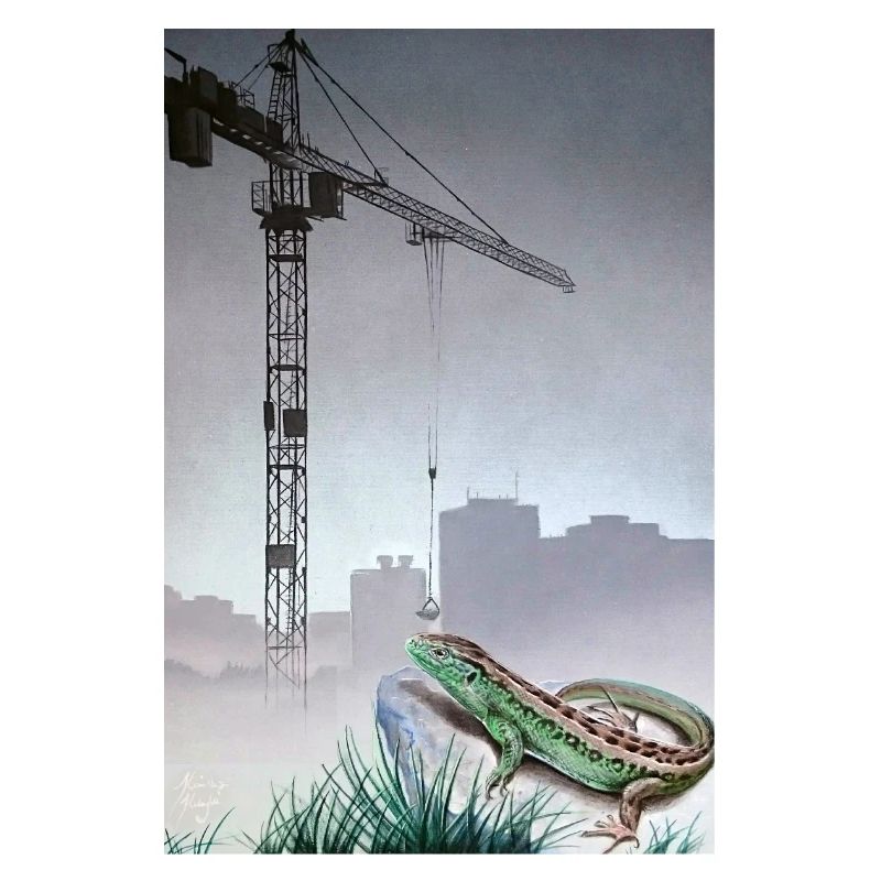 Sand lizard vs building work