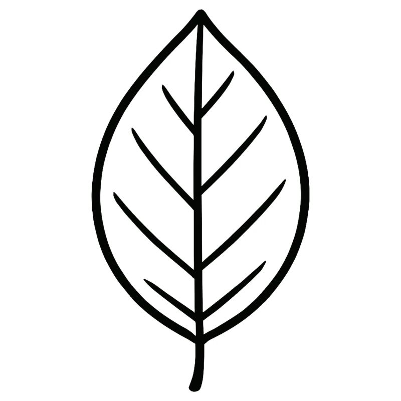 Conception minimaliste Leaf
