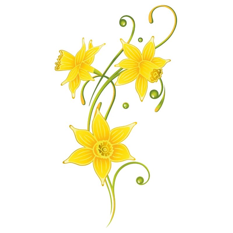 Filigree Daffodils Flowers. Spring, Easter.