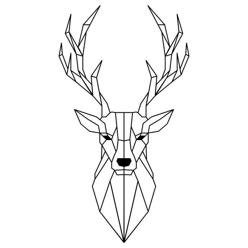 Polygone de cerf