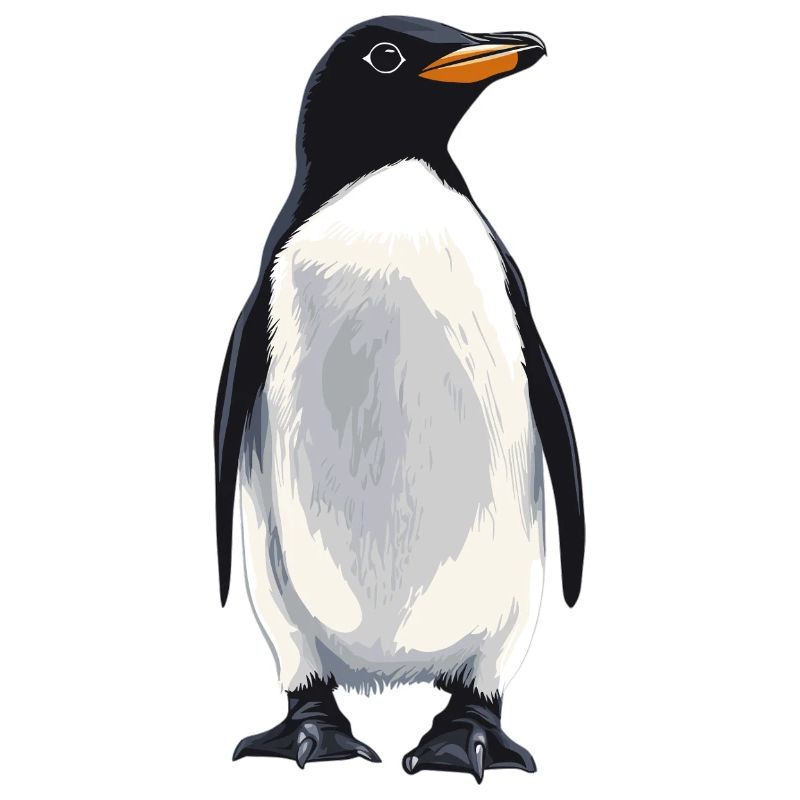 Pingouins Pingouin