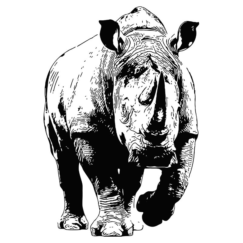 Rhinoceros